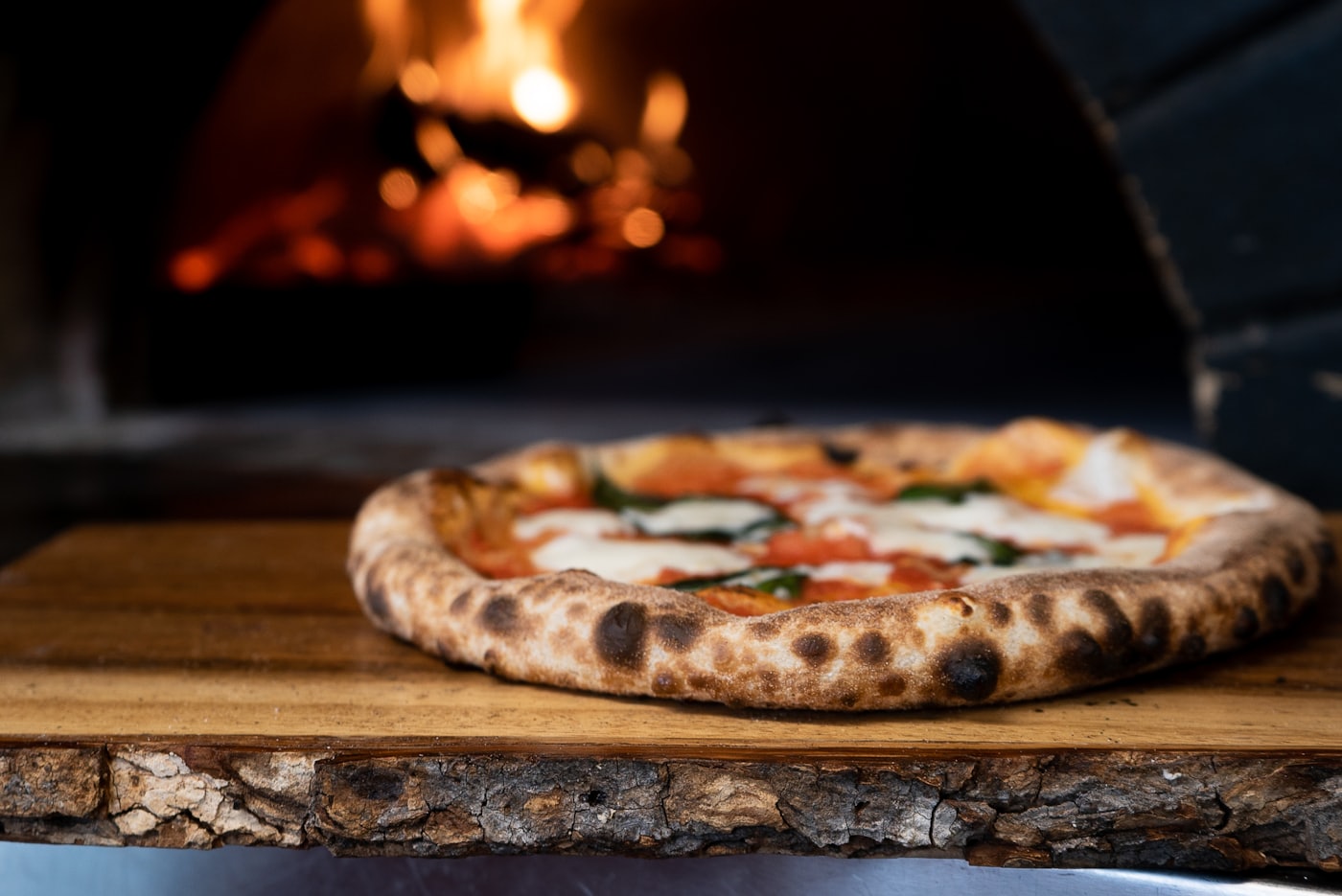 Dough & Launch